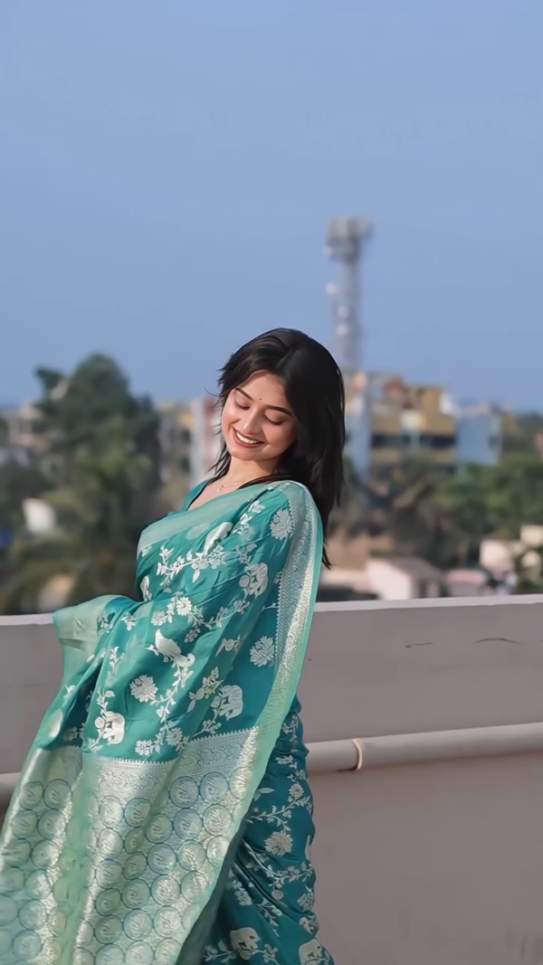 Silk Printed Saree - Image 2