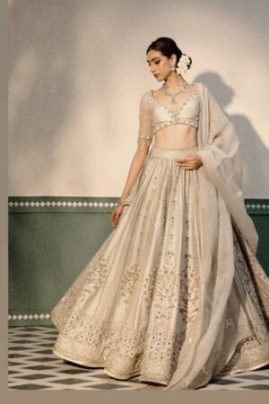 PARTY WEAR FANCY LEHENGHA CHOLI